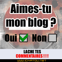 salut a tout le monde